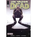 THE WALKING DEAD 67. KIRKMAN. ZOMBIES. IMAGE COMICS.