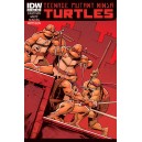 TEENAGE MUTANT NINJA TURTLES 12. TMNT.   