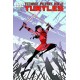 TEENAGE MUTANT NINJA TURTLES 13. COVER A. TMNT. 