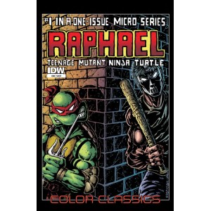TEENAGE MUTANT NINJA TURTLES COLOR CLASSICS MICRO SERIES. RAPHAEL. TMNT.  