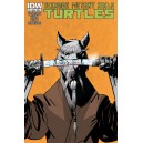 TEENAGE MUTANT NINJA TURTLES 14. COVER A. 