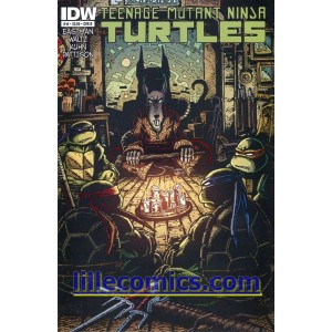 TEENAGE MUTANT NINJA TURTLES 14. COVER B. TMNT. 