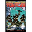 TEENAGE MUTANT NINJA TURTLES COLOR CLASSICS 4. TMNT.  