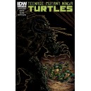 TEENAGE MUTANT NINJA TURTLES 15. COVER B. 
