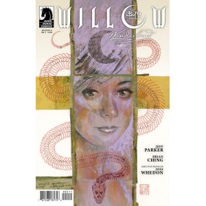 BUFFY THE VAMPIRE SLAYER WILLOW WONDERLAND 2. DARK HORSE. LILLE COMICS.