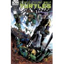 TEENAGE MUTANT NINJA TURTLES 17. COVER A. 