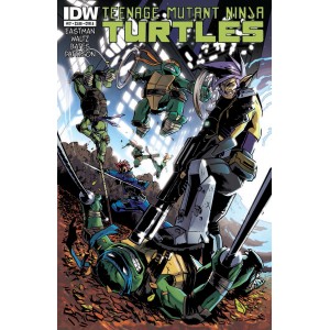 TEENAGE MUTANT NINJA TURTLES 17. COVER A. TMNT.