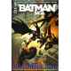 BATMAN SAGA 2. DETECTIVE COMICS. BATGIRL. OCCASION