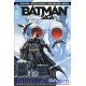 BATMAN SAGA 10. NIGTHWING. DETECTIVE COMICS. BATGIRL. 