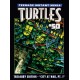 TEENAGE MUTANT NINJA TURTLES 50. TMNT. TREASURY EDITION. 