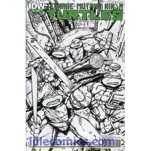 TEENAGE MUTANT NINJA TURTLES 2. TMNT. THIRD PRINTING. 