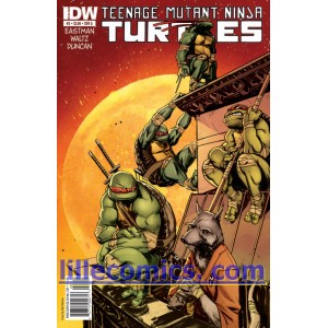 TEENAGE MUTANT NINJA TURTLES 3. COVER A. TMNT. FIRST PRINT.