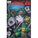 TEENAGE MUTANT NINJA TURTLES 9. COVER B. TMNT. 