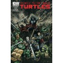 TEENAGE MUTANT NINJA TURTLES 12. COVER B. TMNT.    