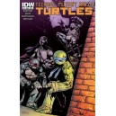 TEENAGE MUTANT NINJA TURTLES 33. COVER A. TMNT. IDW PUBLISHING.