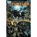 TEENAGE MUTANT NINJA TURTLES 33. COVER B. TMNT. IDW PUBLISHING.