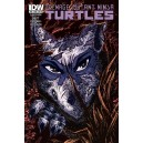 TEENAGE MUTANT NINJA TURTLES 30. COVER B. TMNT. IDW PUBLISHING.