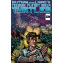 TEENAGE MUTANT NINJA TURTLES COLOR CLASSICS VOL. 2-1. TMNT.