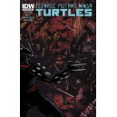 TEENAGE MUTANT NINJA TURTLES 28. CITY FALL. COVER B. TMNT