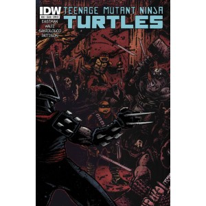 TEENAGE MUTANT NINJA TURTLES 28. CITY FALL. COVER B. TMNT
