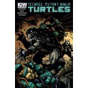 TEENAGE MUTANT NINJA TURTLES 35. COVER B. TMNT. IDW PUBLISHING.