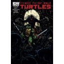 TEENAGE MUTANT NINJA TURTLES 36. COVER B. TMNT. IDW PUBLISHING.