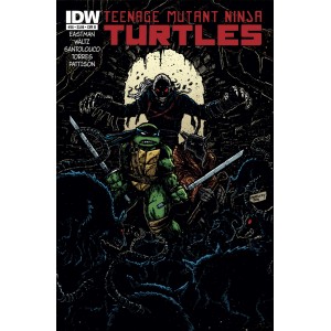 TEENAGE MUTANT NINJA TURTLES 36. COVER B. TMNT. IDW PUBLISHING.