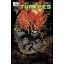 TEENAGE MUTANT NINJA TURTLES 37. COVER B. TMNT. IDW PUBLISHING.