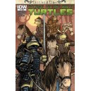 TEENAGE MUTANT NINJA TURTLES TURTLES IN TIME 2. COMICS COVER. IDW PUBLISHING.