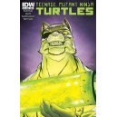 TEENAGE MUTANT NINJA TURTLES 38. COMICS COVER. TMNT. IDW PUBLISHING.