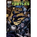 TEENAGE MUTANT NINJA TURTLES 38. SUBSCRIPTION. TMNT. IDW PUBLISHING.