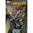 TEENAGE MUTANT NINJA TURTLES 39. COMICS COVER. TMNT. IDW PUBLISHING.