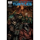 TEENAGE MUTANT NINJA TURTLES 39. SUBSCRIPTION. TMNT. IDW PUBLISHING.