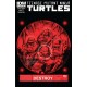 TEENAGE MUTANT NINJA TURTLES N°6. IDW PUBLISHING