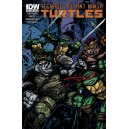 TEENAGE MUTANT NINJA TURTLES 40. SUBSCRIPTION COVER. TMNT. IDW PUBLISHING.