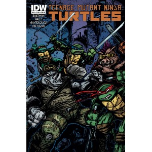 TEENAGE MUTANT NINJA TURTLES 40. COVER B. TMNT. IDW PUBLISHING.