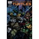 TEENAGE MUTANT NINJA TURTLES 40. SUBSCRIPTION COVER. TMNT. IDW PUBLISHING.