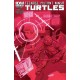 TEENAGE MUTANT NINJA TURTLES 34. COVER A. TMNT. IDW PUBLISHING.