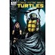 TEENAGE MUTANT NINJA TURTLES 34. COVER B. TMNT. IDW PUBLISHING.