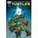 TEENAGE MUTANT NINJA TURTLES 41. COVER A. TMNT. IDW PUBLISHING.