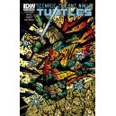 TEENAGE MUTANT NINJA TURTLES 41. COVER B. TMNT. IDW PUBLISHING.