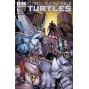 TEENAGE MUTANT NINJA TURTLES 42. COVER A. TMNT. IDW PUBLISHING.