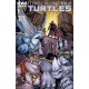 TEENAGE MUTANT NINJA TURTLES 42. COVER A. TMNT. IDW PUBLISHING.