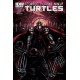 TEENAGE MUTANT NINJA TURTLES 42. COVER B. TMNT. IDW PUBLISHING.