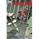 TEENAGE MUTANT NINJA TURTLES 9. COVER A. TMNT. 