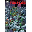 TEENAGE MUTANT NINJA TURTLES 43. COVER A. TMNT. IDW PUBLISHING.