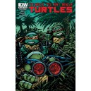 TEENAGE MUTANT NINJA TURTLES 43. COVER B. TMNT. IDW PUBLISHING.