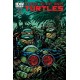 TEENAGE MUTANT NINJA TURTLES 43. COVER B. TMNT. IDW PUBLISHING.