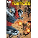 TEENAGE MUTANT NINJA TURTLES 44. COVER A. TMNT. IDW PUBLISHING.