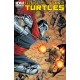 TEENAGE MUTANT NINJA TURTLES 44. COVER A. TMNT. IDW PUBLISHING.